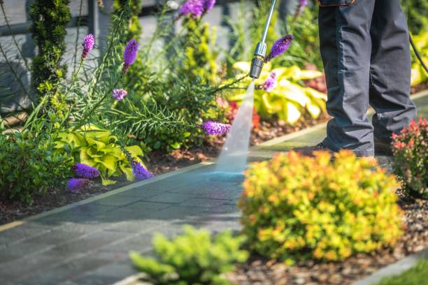Best House Exterior Washing  in Womelsdorf, PA